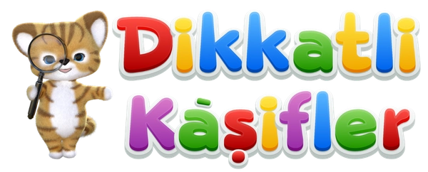 Özel Dikkatli Kaşifler Anaokulu | ÇORLU