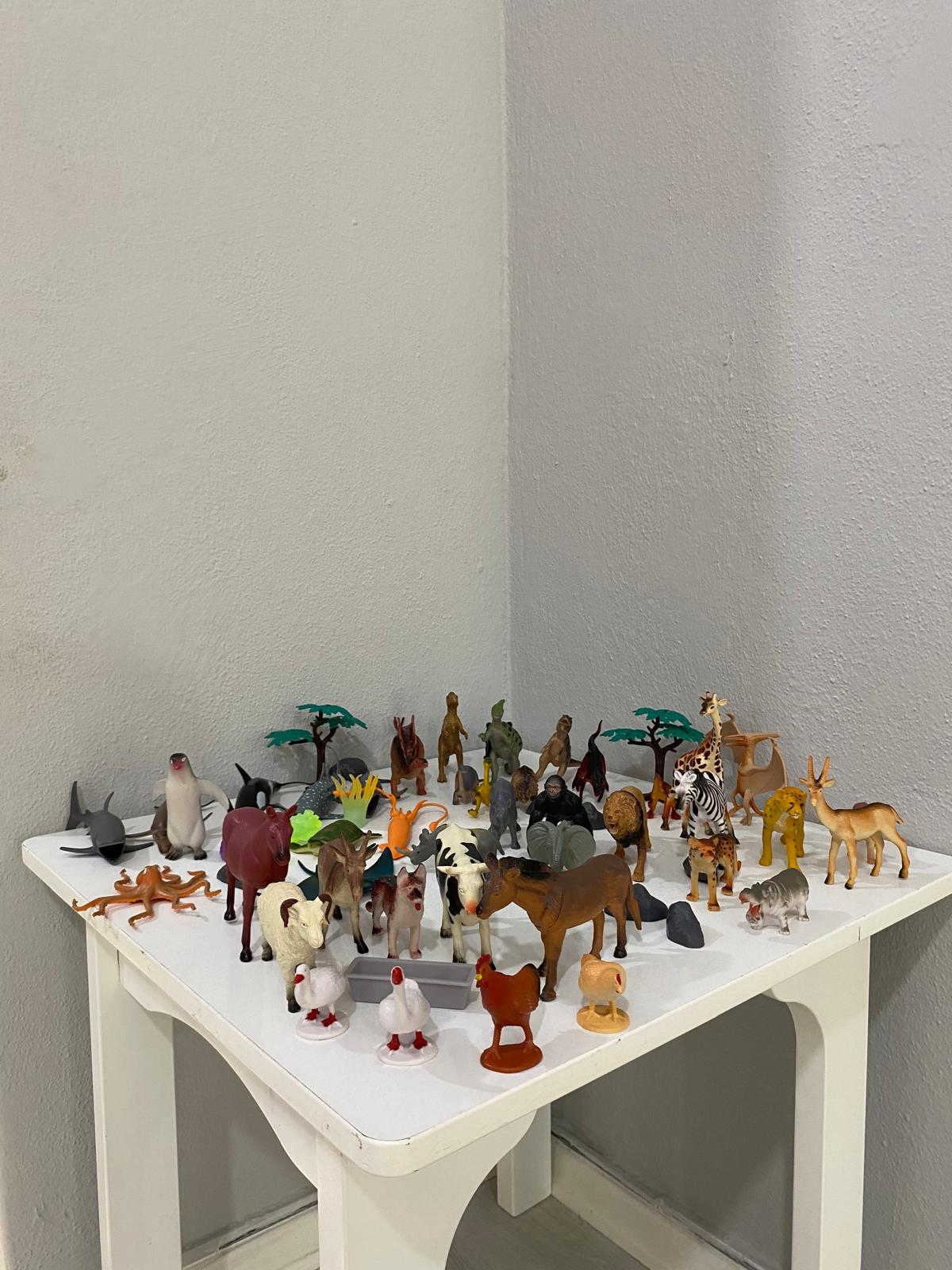 dikkatli-kasifler-galeri-17